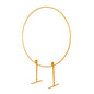 Iron Arch Background Balloon Birthday Party Stand